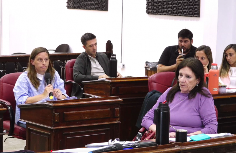 El Concejo abri� el debate por la regulaci�n de geri�tricos
